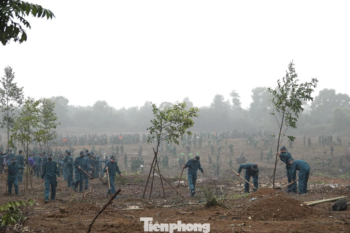 Ảnh: Nguyễn Minh