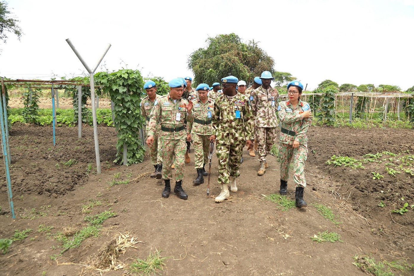 Tham quan khu tăng gia của Đội Công binh số 1