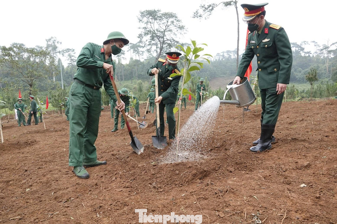 Ảnh: Nguyễn Minh Ảnh: Nguyễn Minh