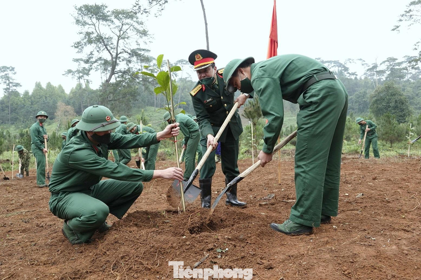 Ảnh: Nguyễn Minh Ảnh: Nguyễn Minh