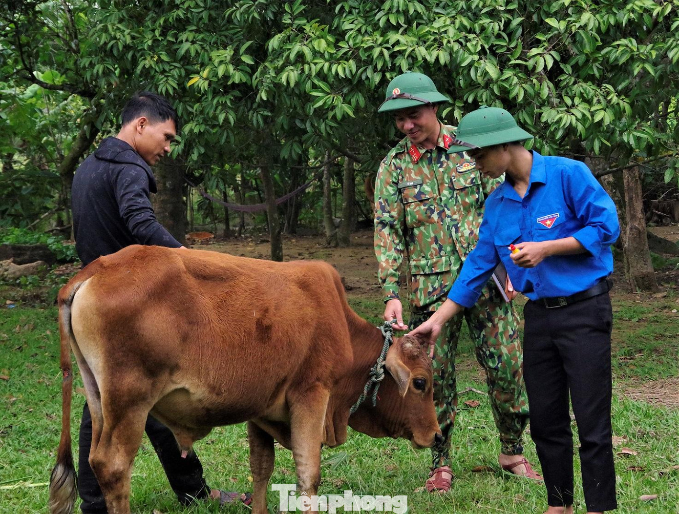 Hướng dẫn người dân phòng, chống dịch bệnh cho đàn gia súc
