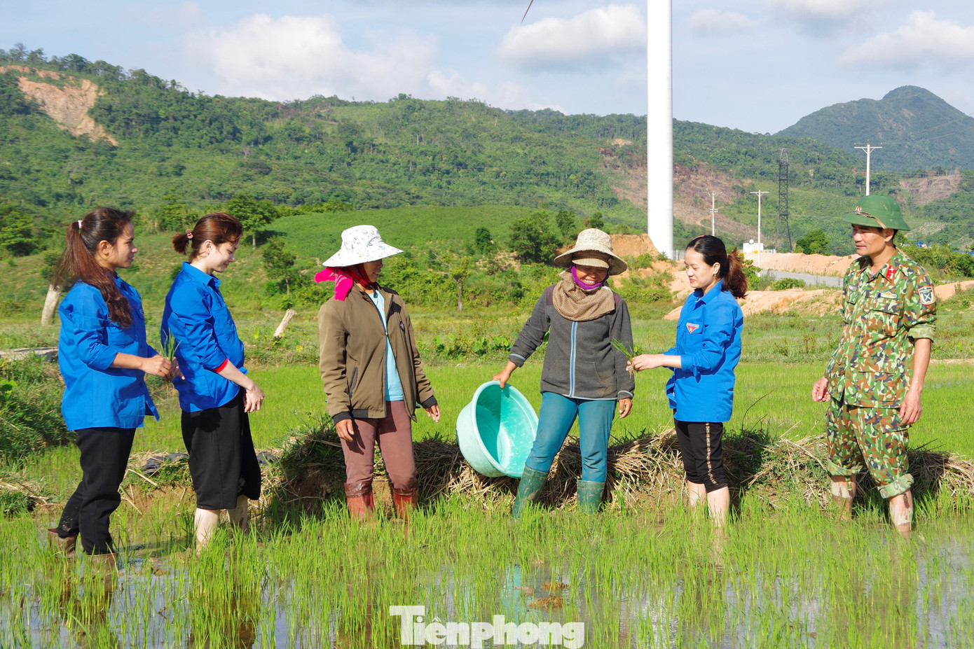 Hướng dẫn bà con kỹ thuật trồng lúa nước