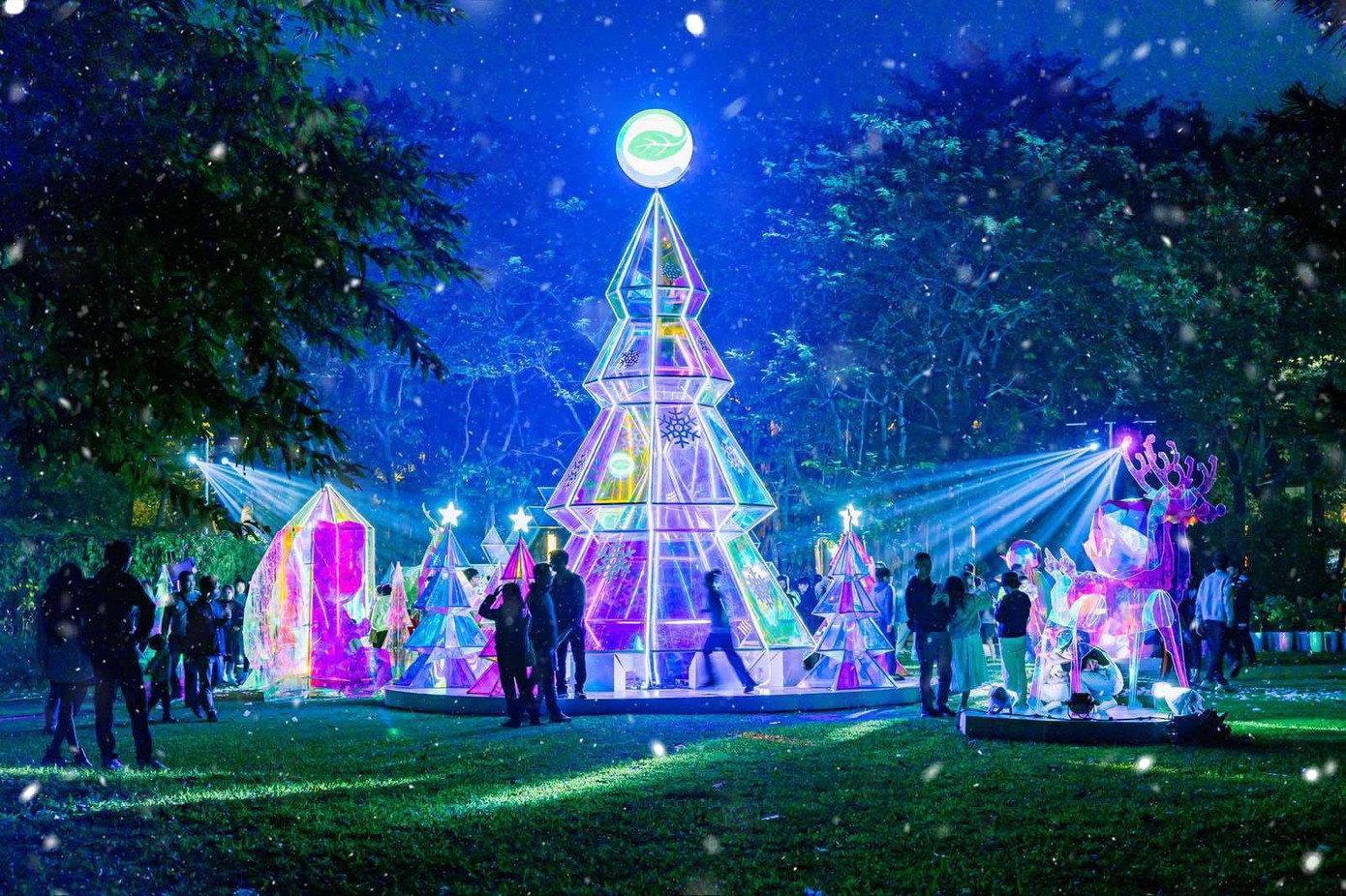 Cây thông khổng lồ trong khu rừng pha lê chiếu sáng cả một vùng đất Cây thông khổng lồ trong khu rừng pha lê chiếu sáng cả một vùng đất