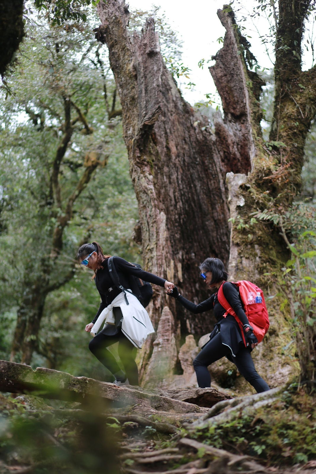 Những hình ảnh ấn tượng được ghi lại tại sự kiện lần đầu tiên được tổ chức này Những hình ảnh ấn tượng được ghi lại tại sự kiện lần đầu tiên được tổ chức này