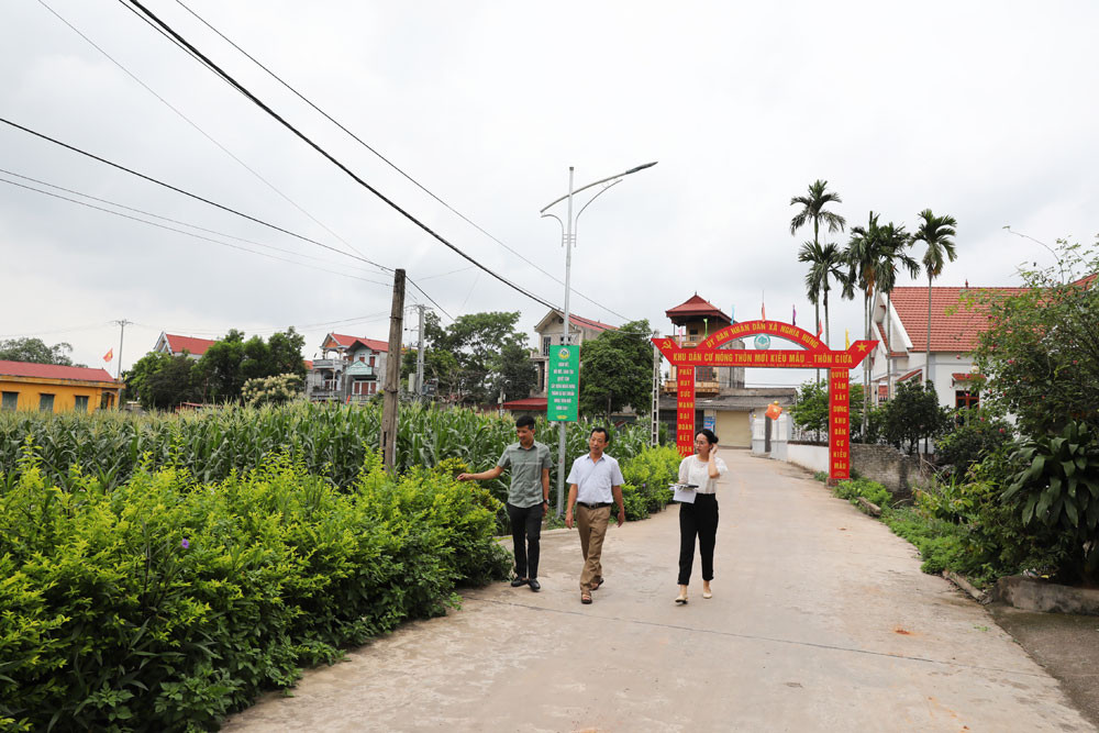Huyện Lạng Giang đạt nhiều kết quả tích cực trong xây dựng nông thôn mới