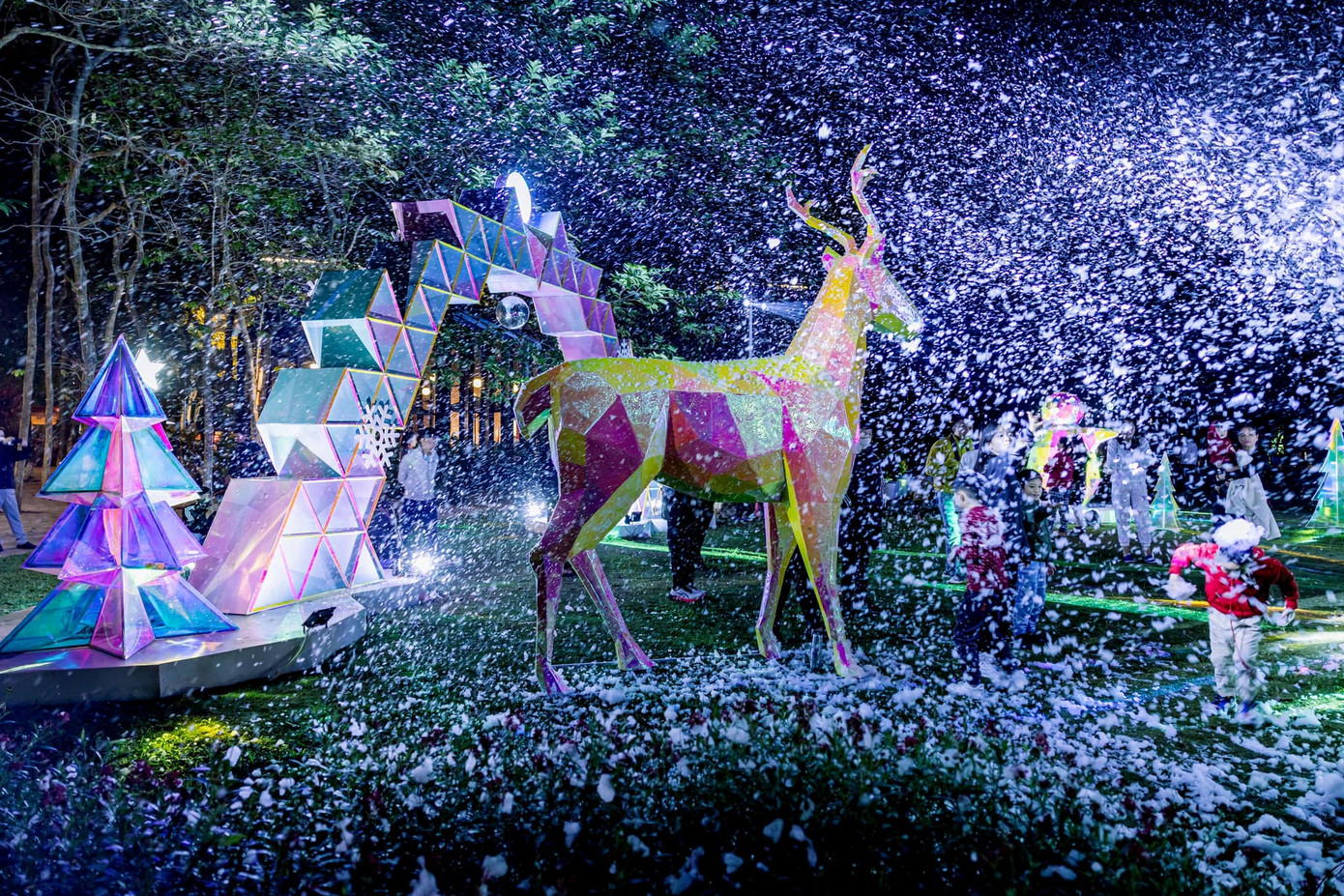 Tuyết rơi trong khu rừng pha lê Tuyết rơi trong khu rừng pha lê