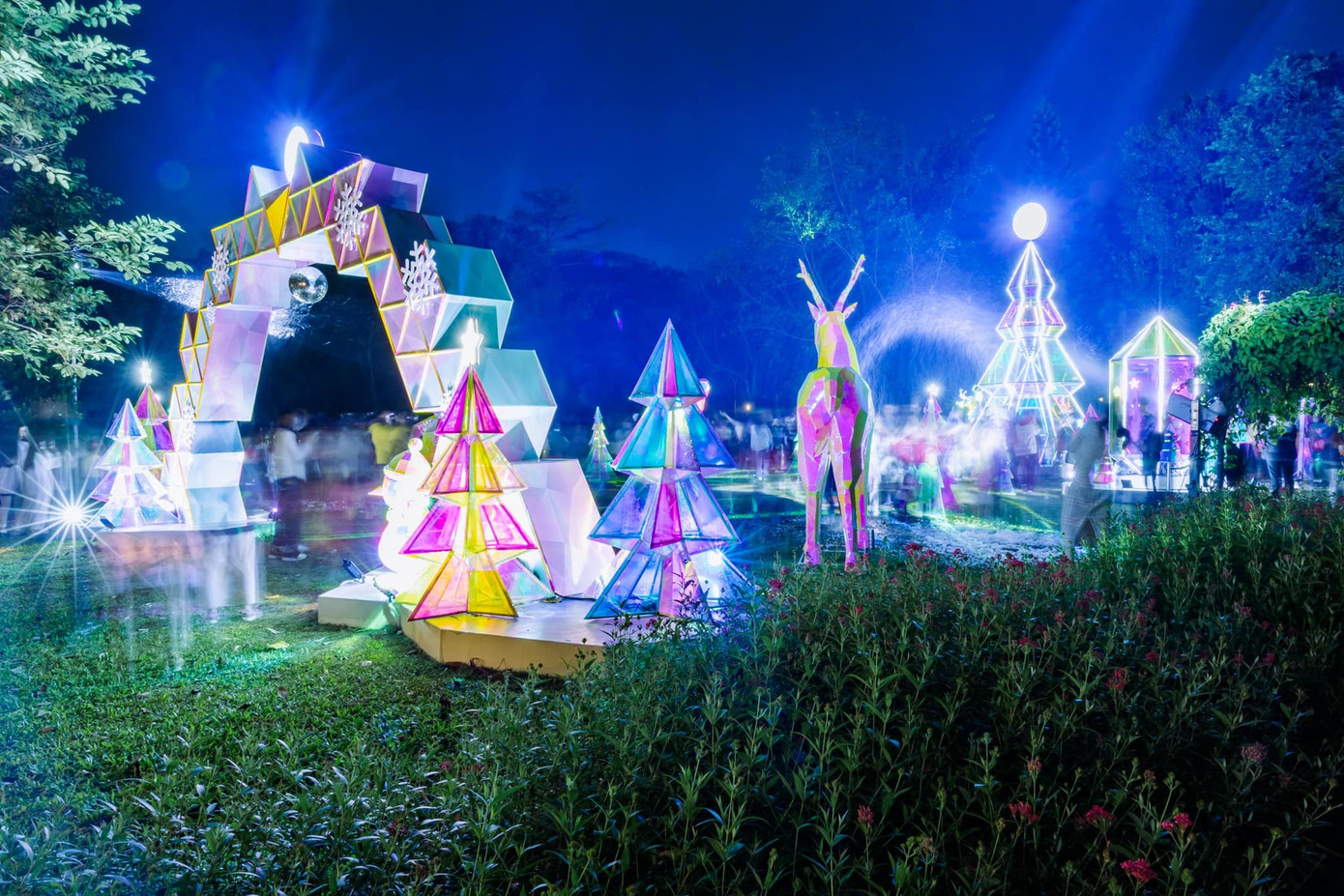 Khu rừng pha lê rực sáng trong đêm tối Khu rừng pha lê rực sáng trong đêm tối