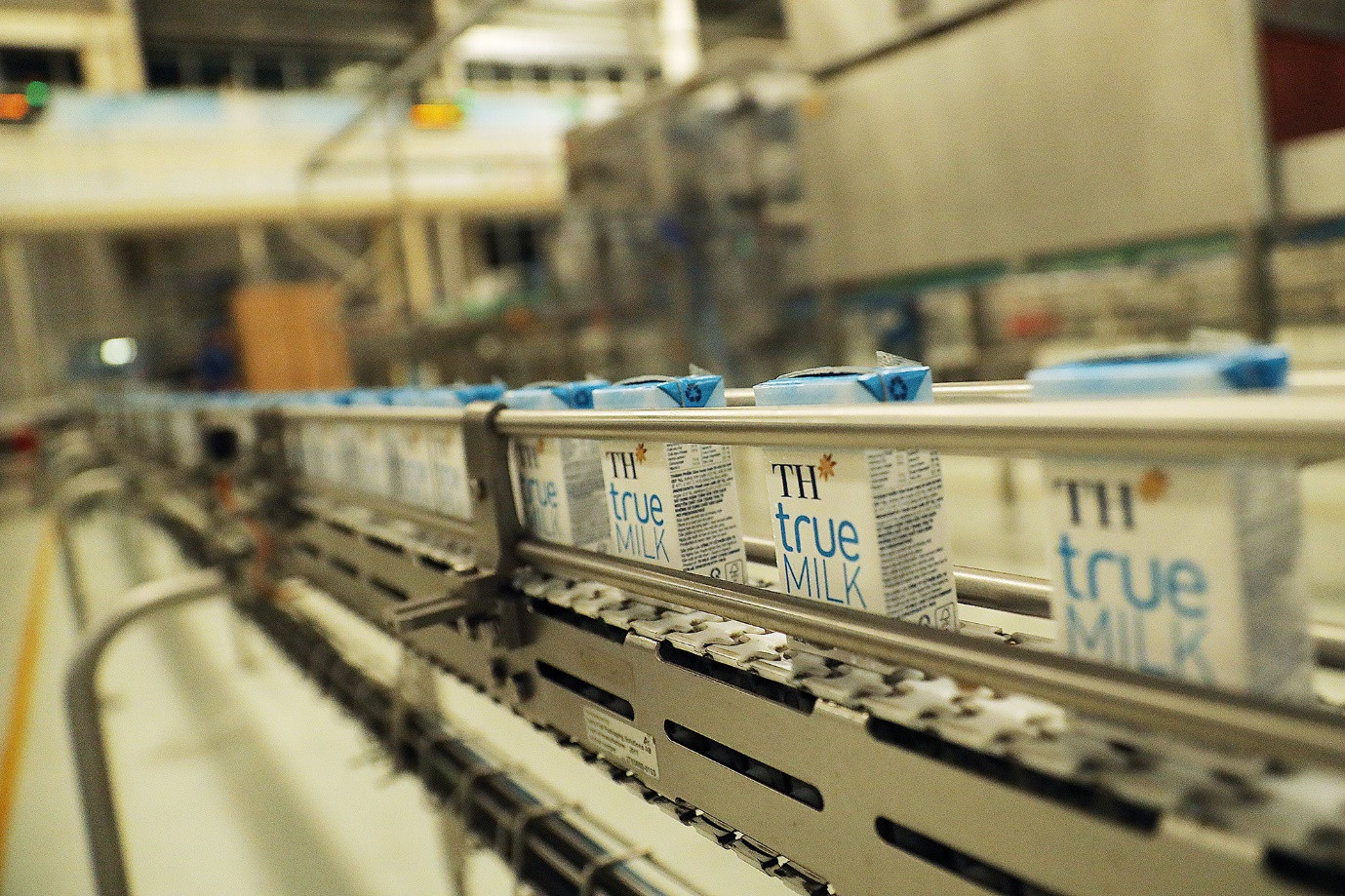 Năm 2008, Việt Nam nhập khẩu tới 92% sữa bột về pha lại thành sữa hoàn nguyên. Sau 15 năm, với sự vào cuộc của TH true MILK, tỷ lệ này giảm còn khoảng 40%.