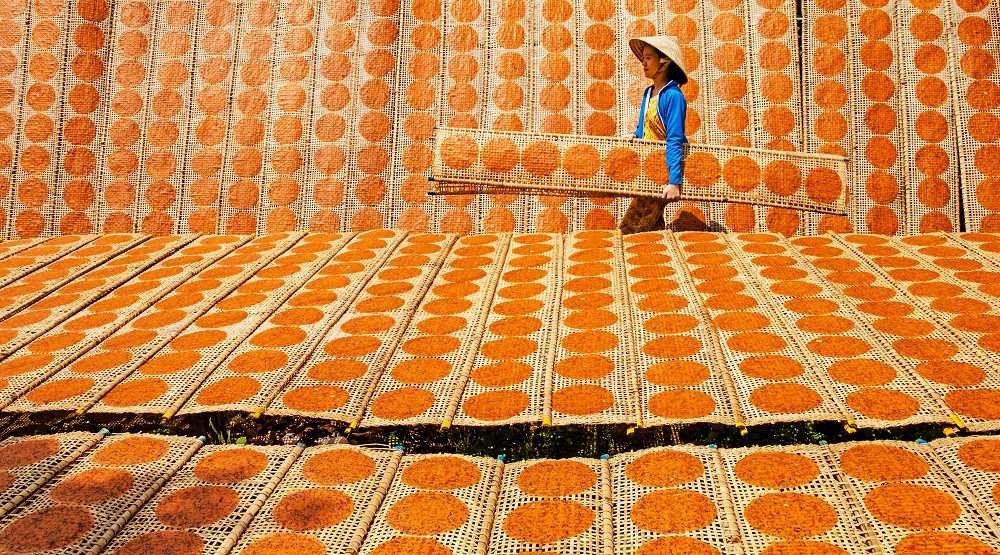 Du khách du lịch tại Tây Ninh