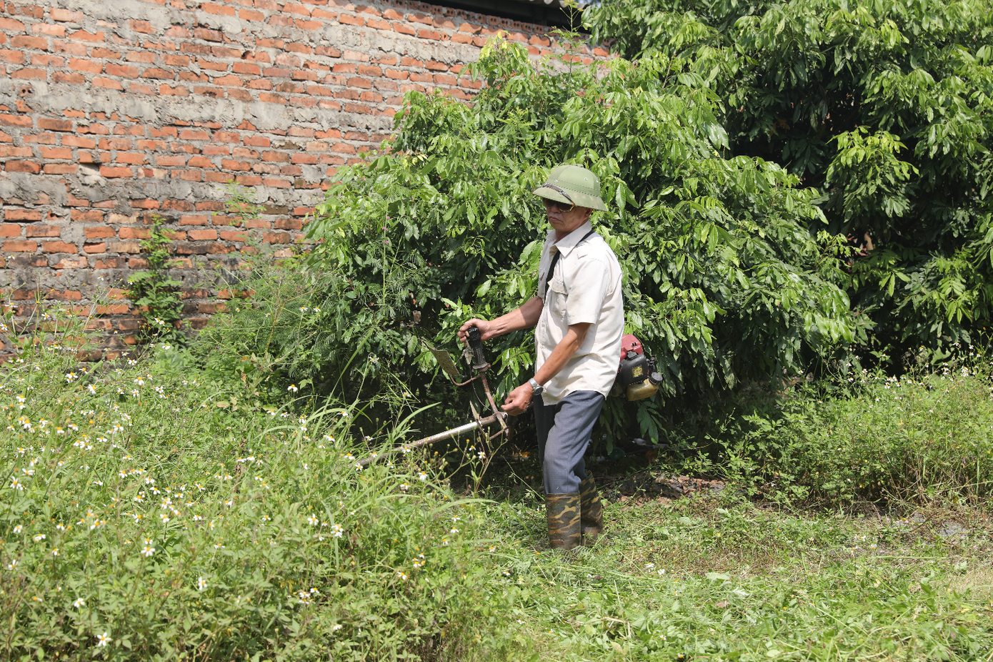 Chú Trần Văn Đức, 60 tuổi luôn bận rộn, vất vả với công việc trang trại của gia đình Chú Trần Văn Đức, 60 tuổi luôn bận rộn, vất vả với công việc trang trại của gia đình