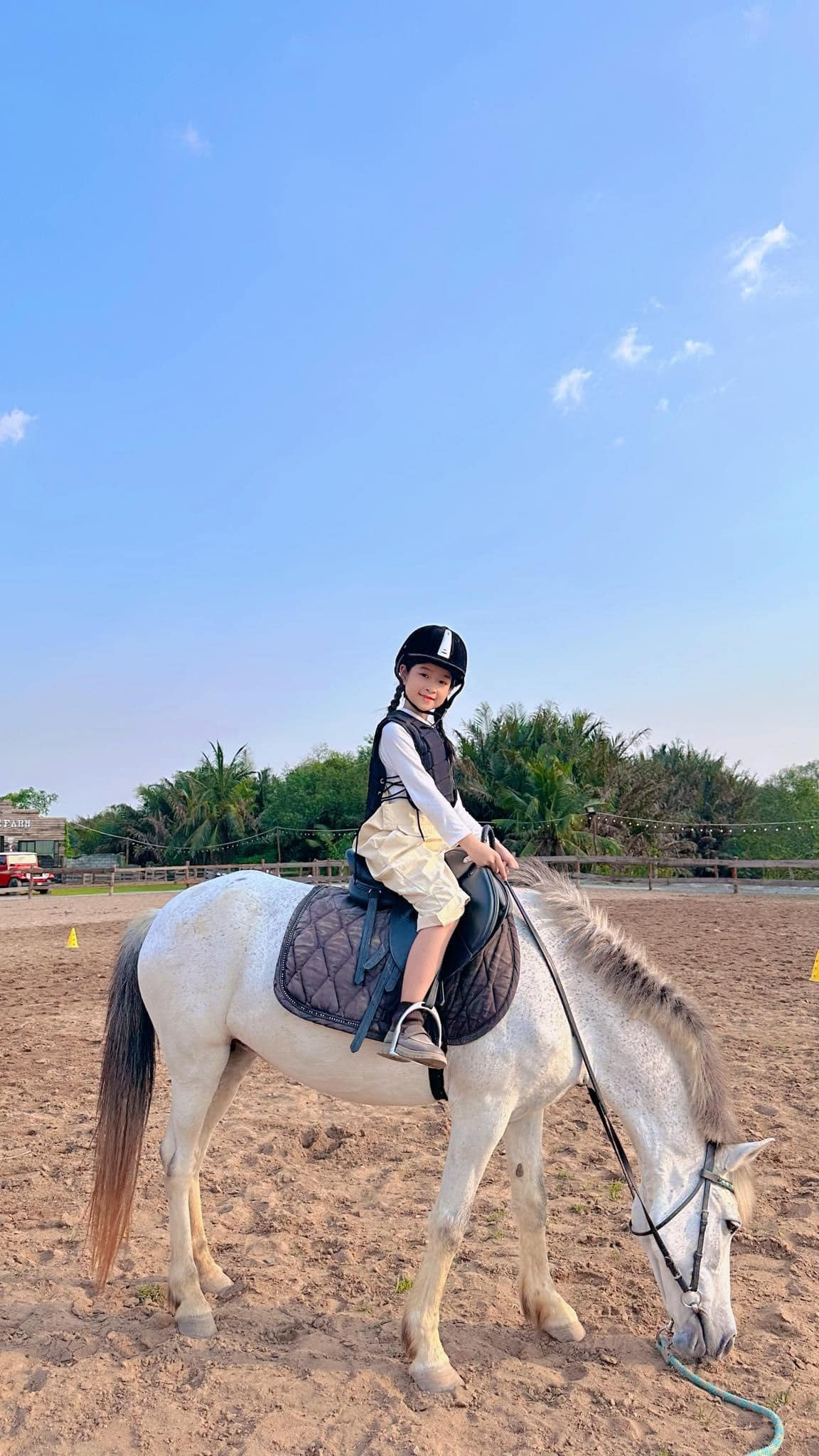 Thế hệ Alpha Kids là thế hệ được đầu tư phát triển toàn diện nhất, được tiếp xúc với những bộ môn thể thao thượng lưu ngay từ nhỏ