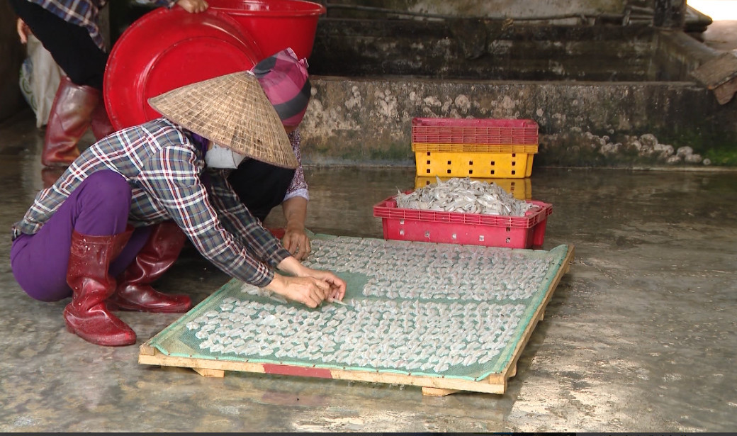 Người dân ven biển chế biến hải sản khô.
