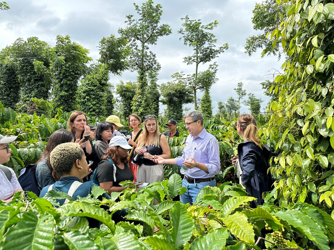 Chuyến thăm của đoàn báo chí quốc tế là cơ hội để Nestlé Việt Nam tiếp tục những nỗ lực quảng bá, giới thiệu sản phẩm cà phê Việt ra thế giới Chuyến thăm của đoàn báo chí quốc tế là cơ hội để Nestlé Việt Nam tiếp tục những nỗ lực quảng bá, giới thiệu sản phẩm cà phê Việt ra thế giới