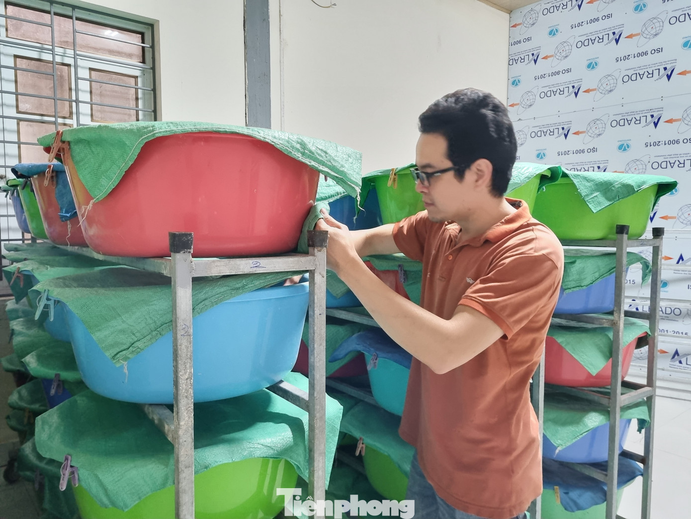 Khoảng 5-6 ngày, cơm men có mùi thơm, nước chảy xuống chậu chừng nửa lít thì cho vào hũ, đổ thêm 15 lít nước sạch vào ngâm 6 - 7 ngày nữa, rồi mang chưng cất.