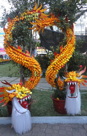 Cặp rồng được tạo từ nhiều trái cà vú dê. Cặp rồng được tạo từ nhiều trái cà vú dê