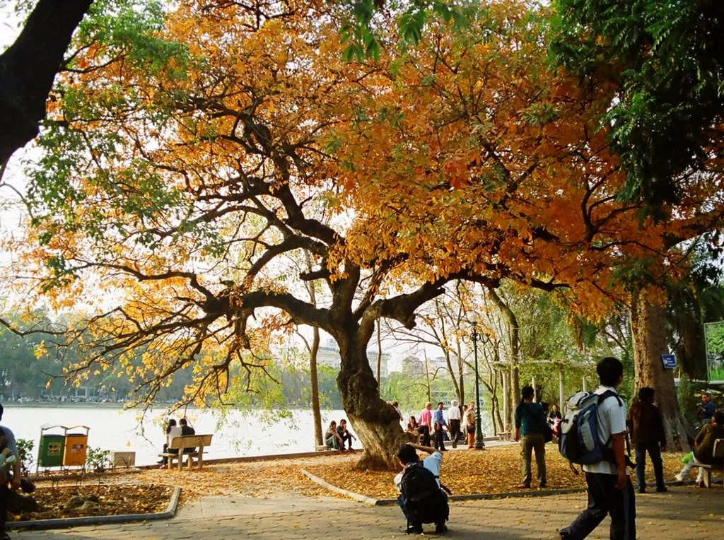 Khu vực quanh hồ Gươm cũng sẽ là phố đi bộ