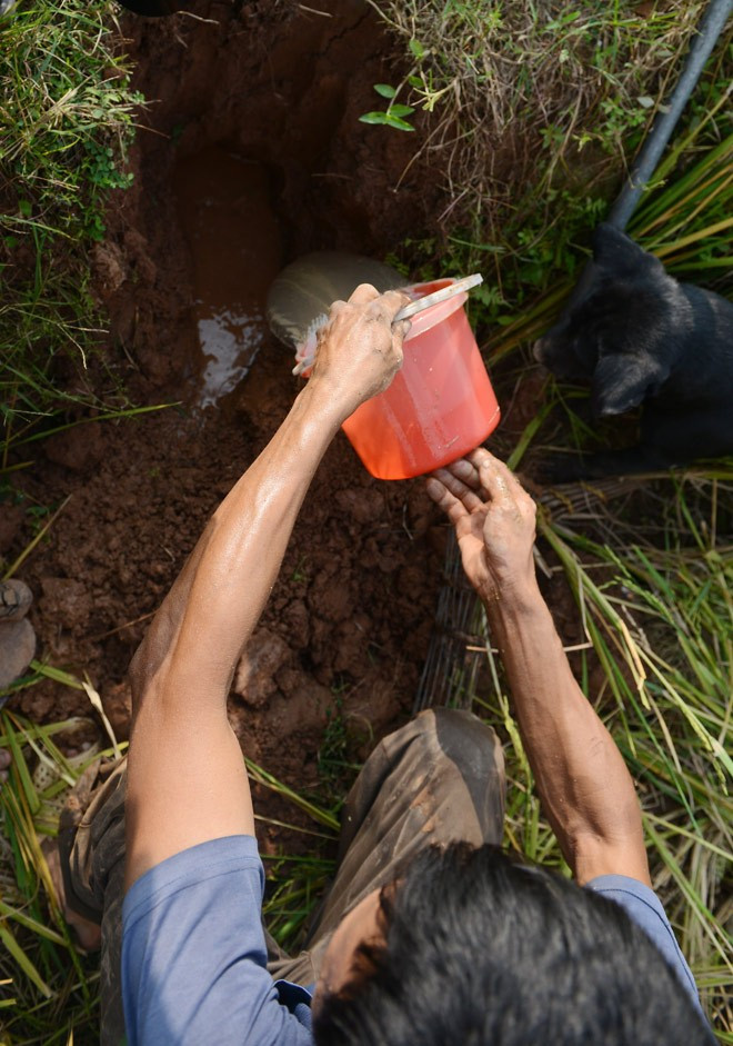 Chuột đồng thường làm tổ ở các bờ ruộng. Ngoài việc đào hang đổ nước để chuột ngoi lên, người bắt chuột chuyên nghiệp còn dùng chó để đánh hơi tìm ổ, sau đó dùng giằng để chặn những cửa hang phụ để chuột chạy vào bẫy