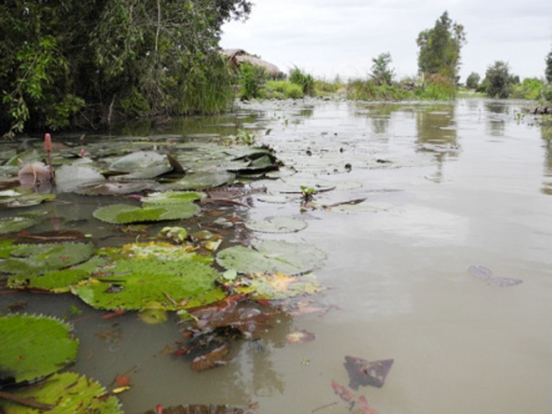 Nơi hơn 200 liệt sĩ ngã xuống. Nơi hơn 200 liệt sĩ ngã xuống