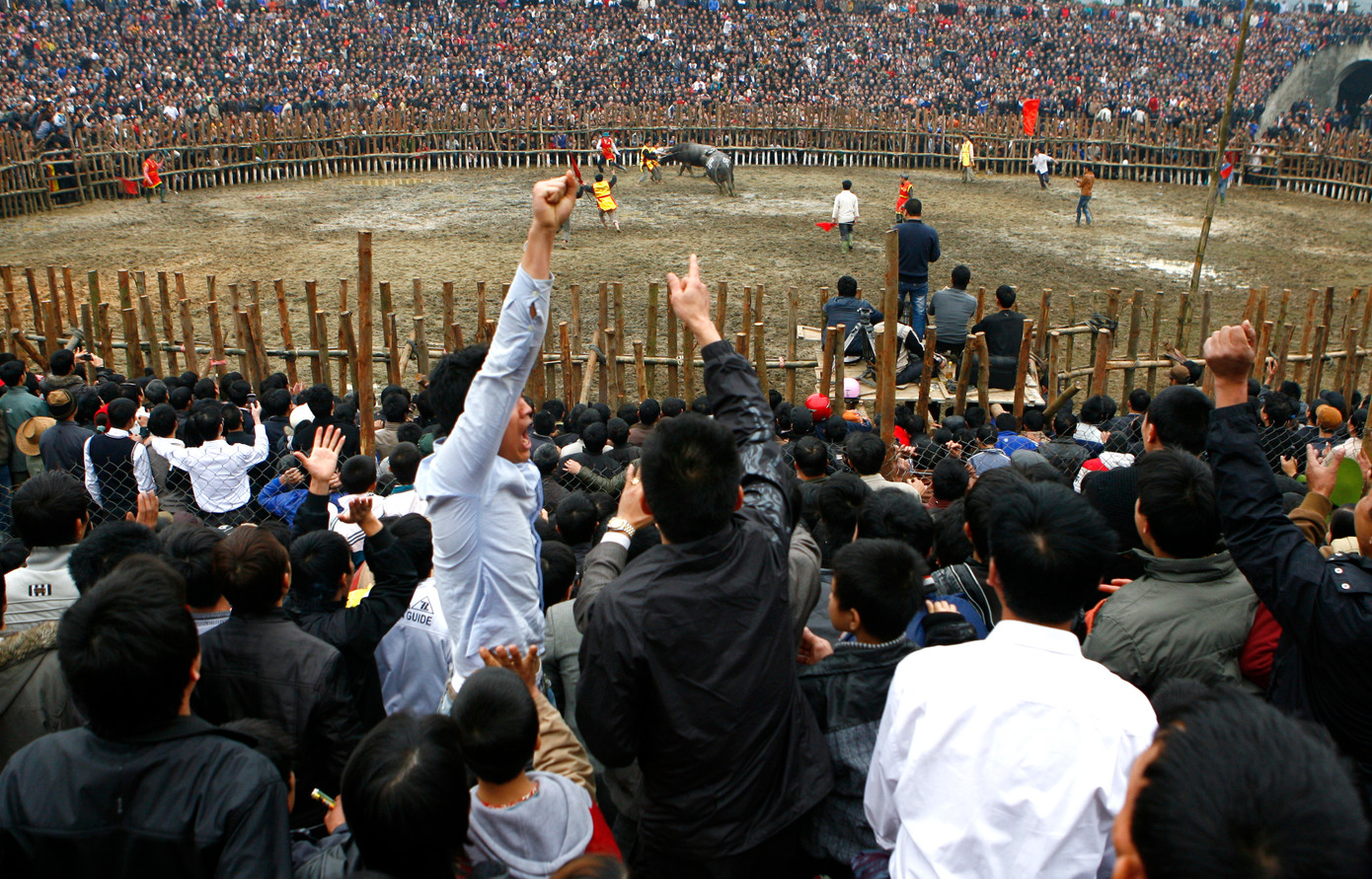 Cổ vũ khi ông Cầu ra đòn hay