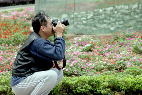 Tranh thủ chớp lấy những bức ảnh đẹp hiếm hiếm hoi này