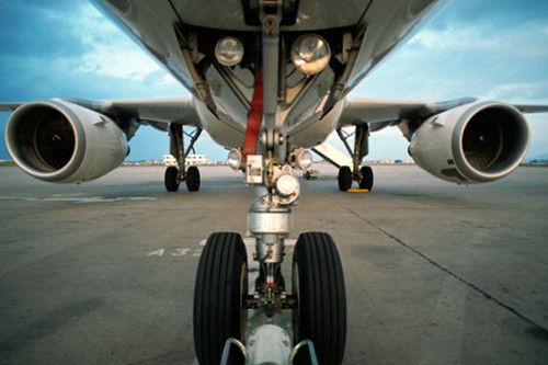 Sống sót sau 5 giờ bám càng máy bay đến Hawaii ảnh 1