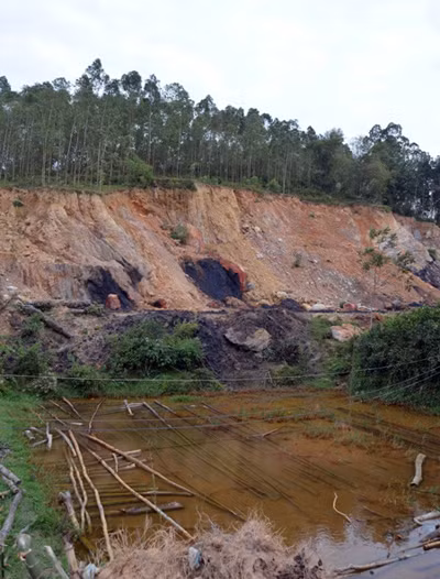 Theo nhận định của các nhà khoa học, nguyên nhân gây ra nhiều cái chết liên tiếp ở Tạ Xá có thể do nằm trong vùng đất có tia đất xấu. Theo nhận định của các nhà khoa học, nguyên nhân gây ra nhiều cái chết liên tiếp ở Tạ Xá có thể do nằm trong vùng đất có tia đất xấu