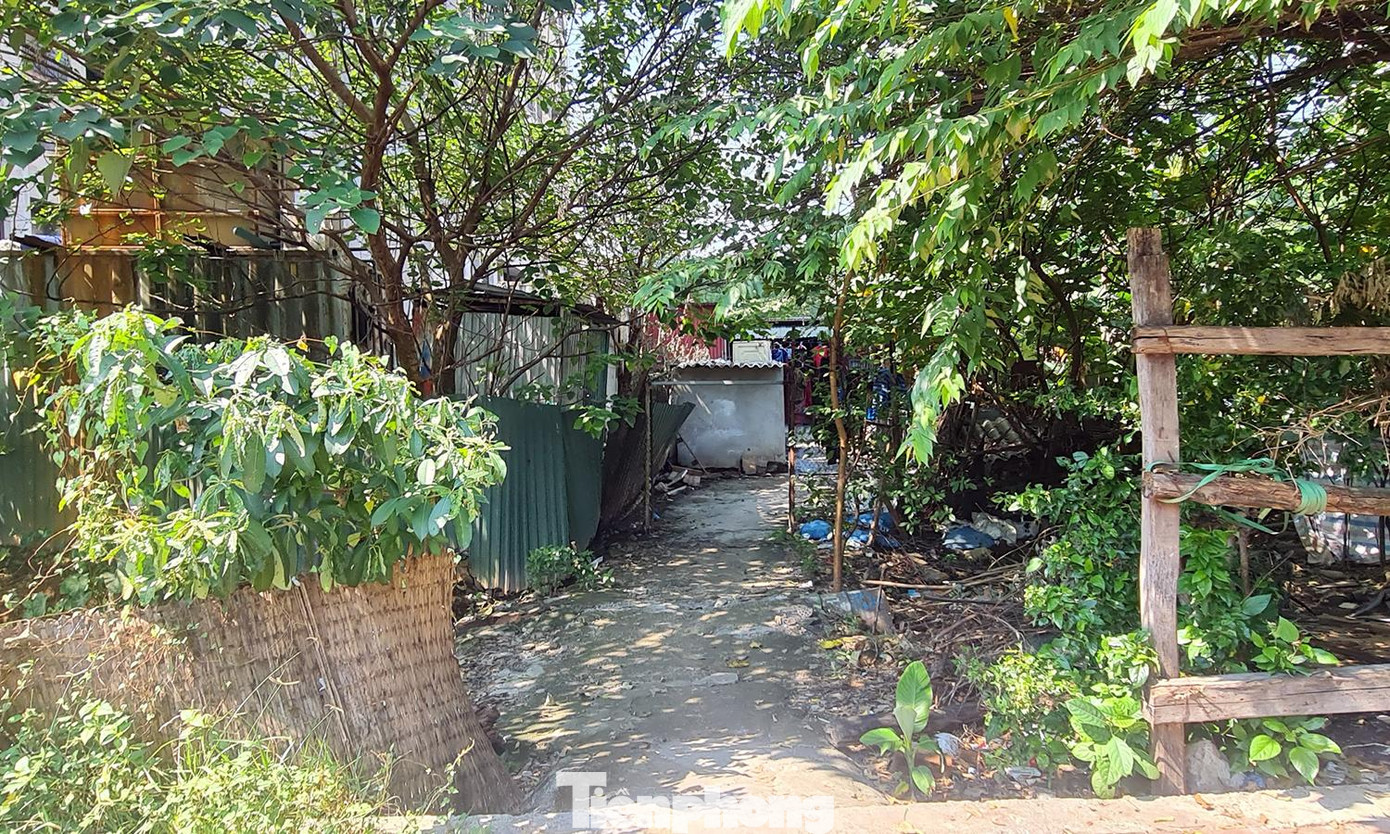 Điều đáng nói, tại khu đất bỏ hoang đang dần biến thành khu “ổ chuột” do một số lao động tự do dựng lều lán tại đây.