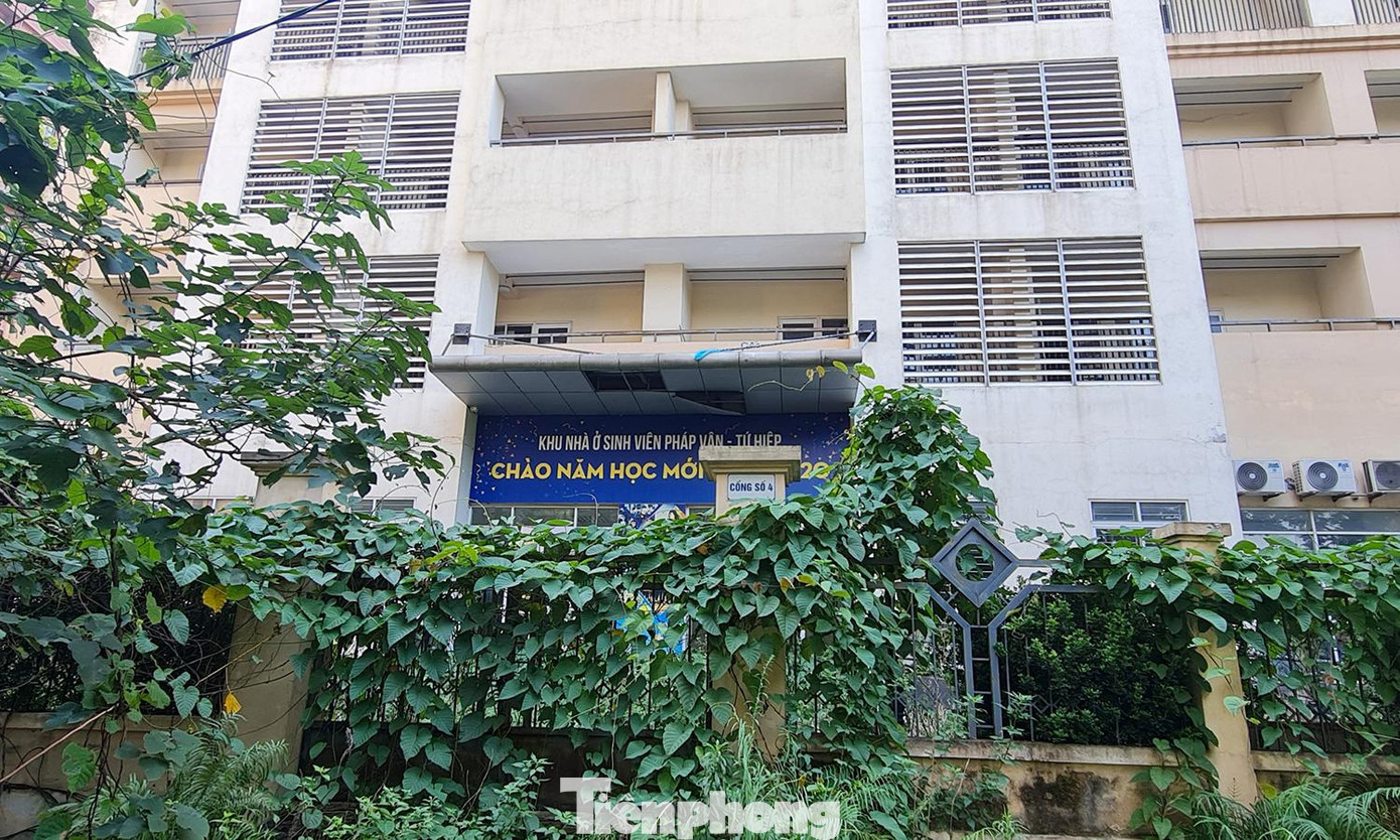 Những cánh cổng tòa nhà nằm trong khu Ký túc xá Pháp Vân - Tứ Hiệp dường như không bao giờ mở, để cỏ dại mọc um tùm, leo kín.