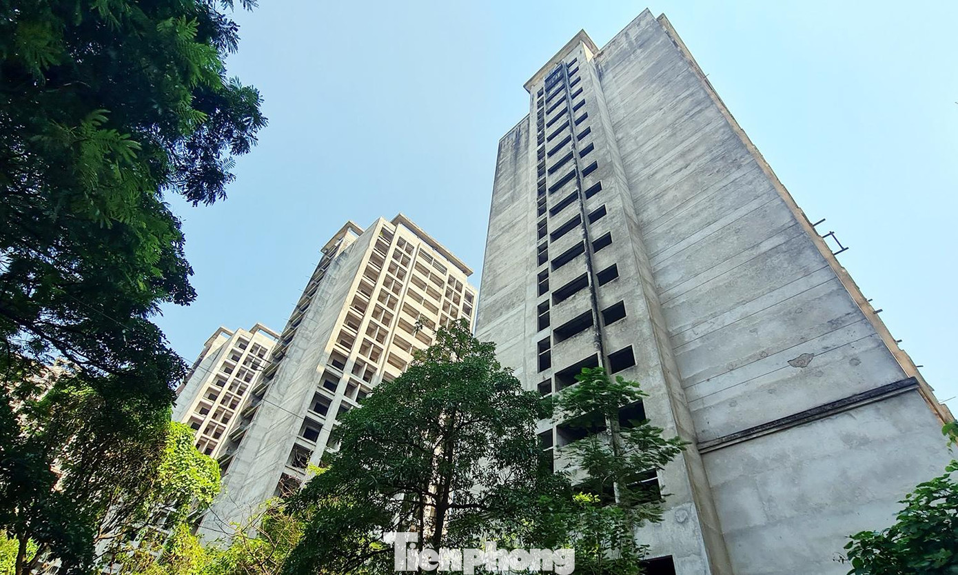 Do bỏ hoang nhiều năm, những tòa nhà này đang xuống cấp nghiêm trọng và lãng phí.