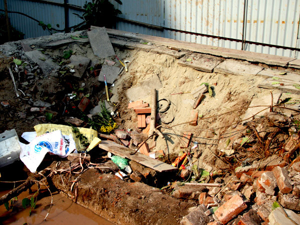 Hiện trường cây bồ đề bị 