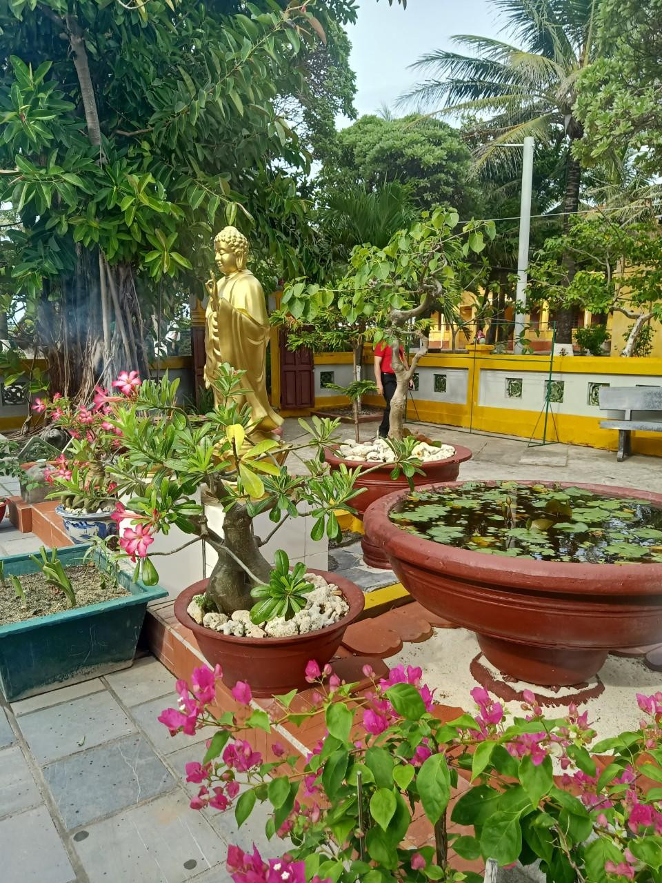 Vườn chùa rợp bóng cây xanh.