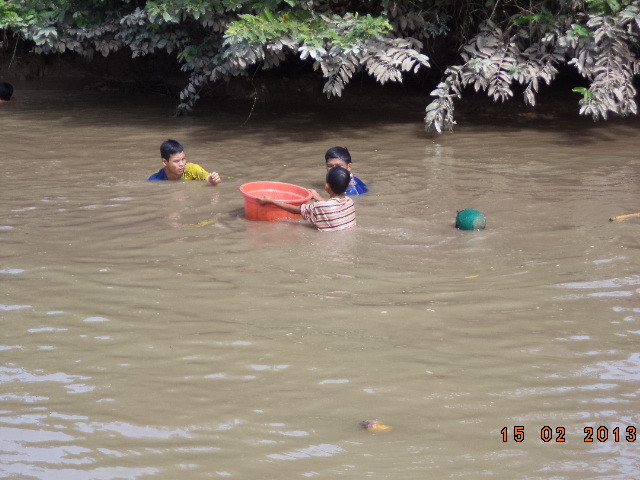 Lại thêm một con cá nữa