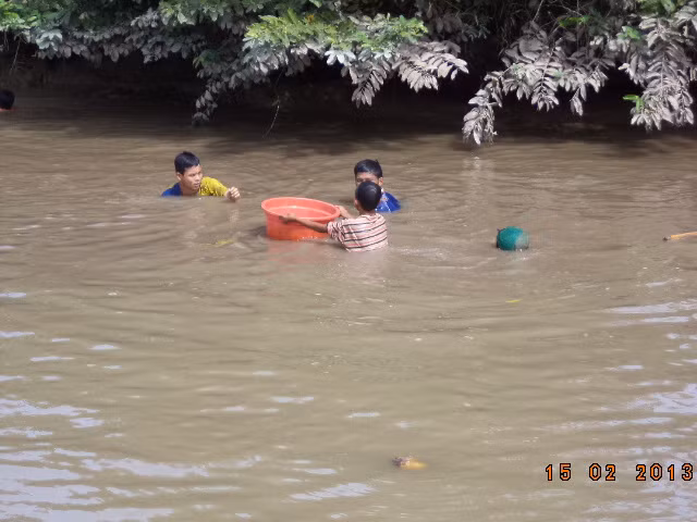 Lại thêm một con cá nữa