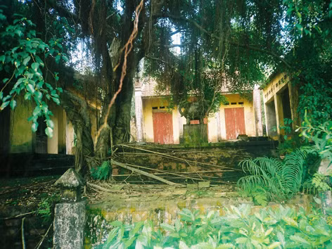 Đền Rắn