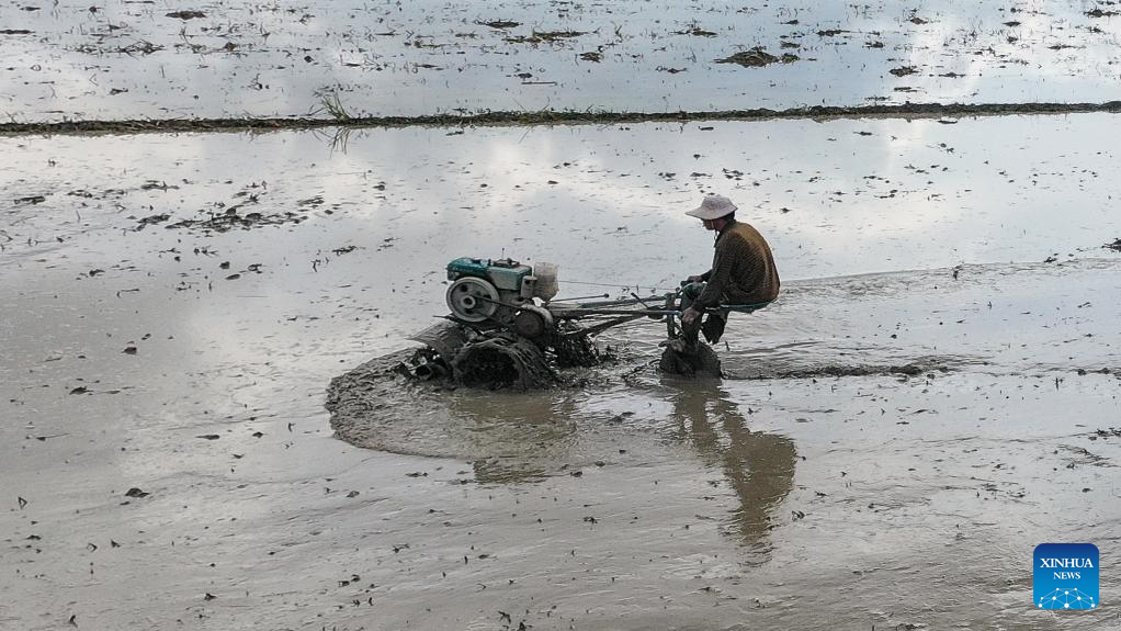 Nông dân làm đất trên cánh đồng ở Quảng Tây, Trung Quốc, ngày 20/7/2022. Ảnh: Xinhua.