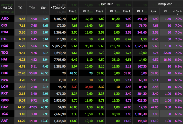 Penny đua nhau tím trần