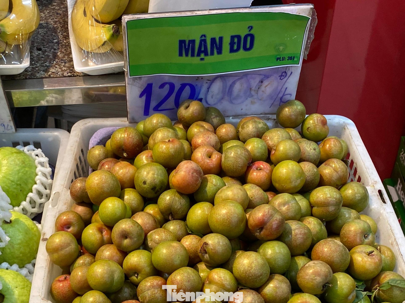 Mận đầu mùa, loại rẻ cũng 120.000 đồng/kg