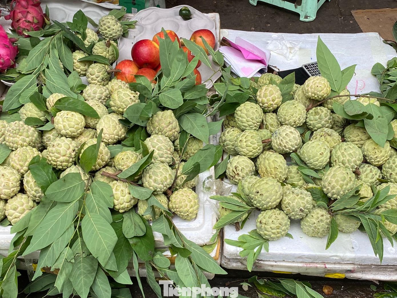 Na đầu mùa được các bà nội trợ săn đón tích cực