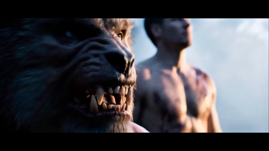 Phim mang thông điệp về môi trường và bảo tồn thiên nhiên. Ảnh: NVCC Phim mang thông điệp về môi trường và bảo tồn thiên nhiên. Ảnh: NVCC