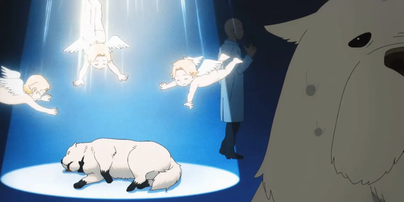 Chú cún "to xác" hay nghĩ đến cảnh mình bị bế lên thiên đàng. Chú cún "to xác" hay nghĩ đến cảnh mình bị bế lên thiên đàng.