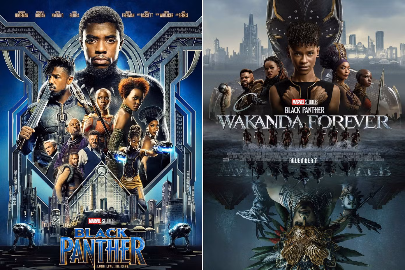 Người hâm mộ vẫn đang chờ đợi Marvel chính thức "bật đèn xanh" cho Black Panther 3.