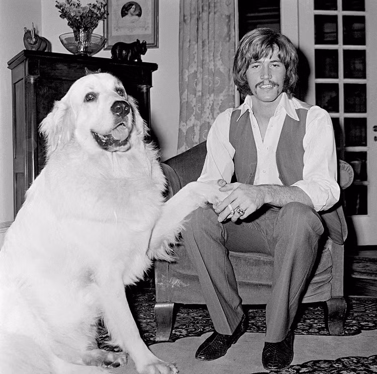 Great Pyrenees - giống chó của Bond ngoài đời thật. Ảnh: Getty Images