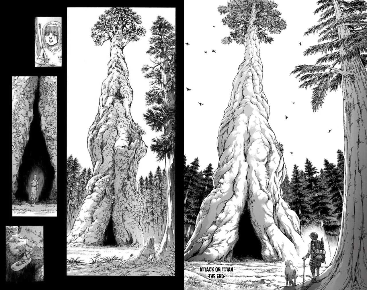 Những gốc cổ thụ vô danh - điểm khởi nguyên của giống loài Titan và cũng là hình ảnh khép lại cuộc hành trình dài hàng thập kỷ.