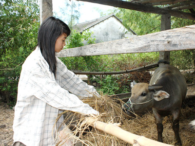 Em Huỳnh Kim Khánh đậu 2 trường nhưng chưa dám nghĩ đến chuyện đi học. Em Huỳnh Kim Khánh đậu 2 trường nhưng chưa dám nghĩ đến chuyện đi học