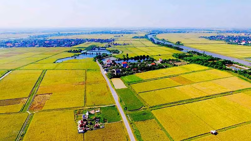 HĐND tỉnh Khánh Hòa được Chính phủ ủy quyền cho phép chấp thuận chuyển mục đích sử dụng đất trồng lúa với quy mô dưới 500 ha. Ảnh: Minh họa. HĐND tỉnh Khánh Hòa được Chính phủ ủy quyền cho phép chấp thuận chuyển mục đích sử dụng đất trồng lúa với quy mô dưới 500 ha. Ảnh: Minh họa.