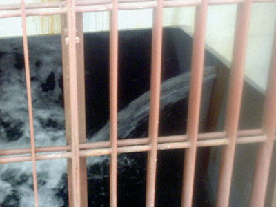 Nước nhiễm xạ ở nhà máy Fukushima rò rỉ ra biển	Ảnh: Kyodo