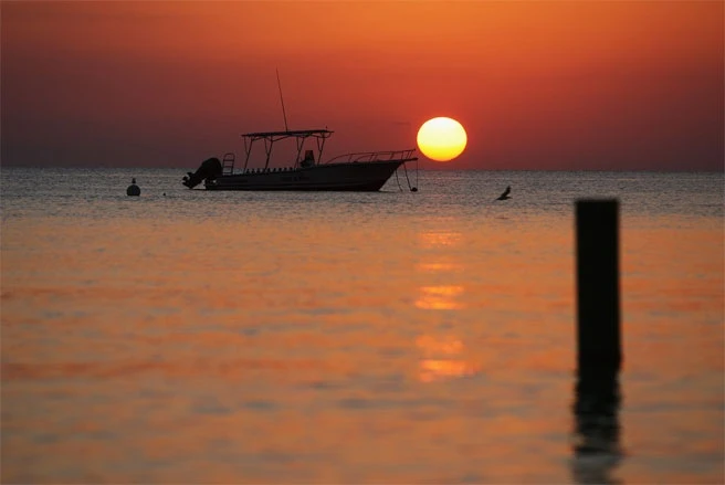 Vùng Caribbean và Panama là nơi cất giữ 1,1 nghìn tỷ USD tài sản tư nhân nước ngoài 