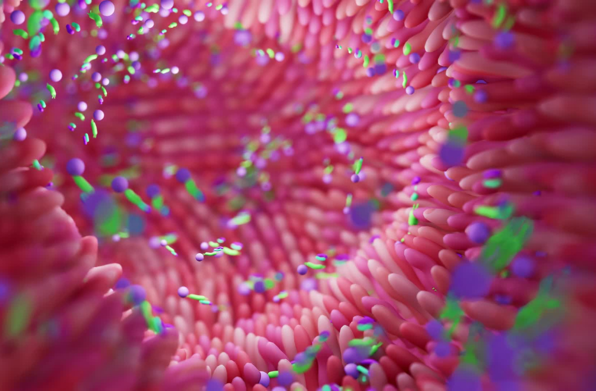 Lợi khuẩn đường ruột