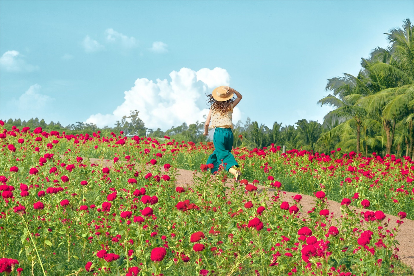 Cuộc sống bận rộn, nhiều người quên đi cảm xúc bản thân Cuộc sống bận rộn, nhiều người quên đi cảm xúc bản thân