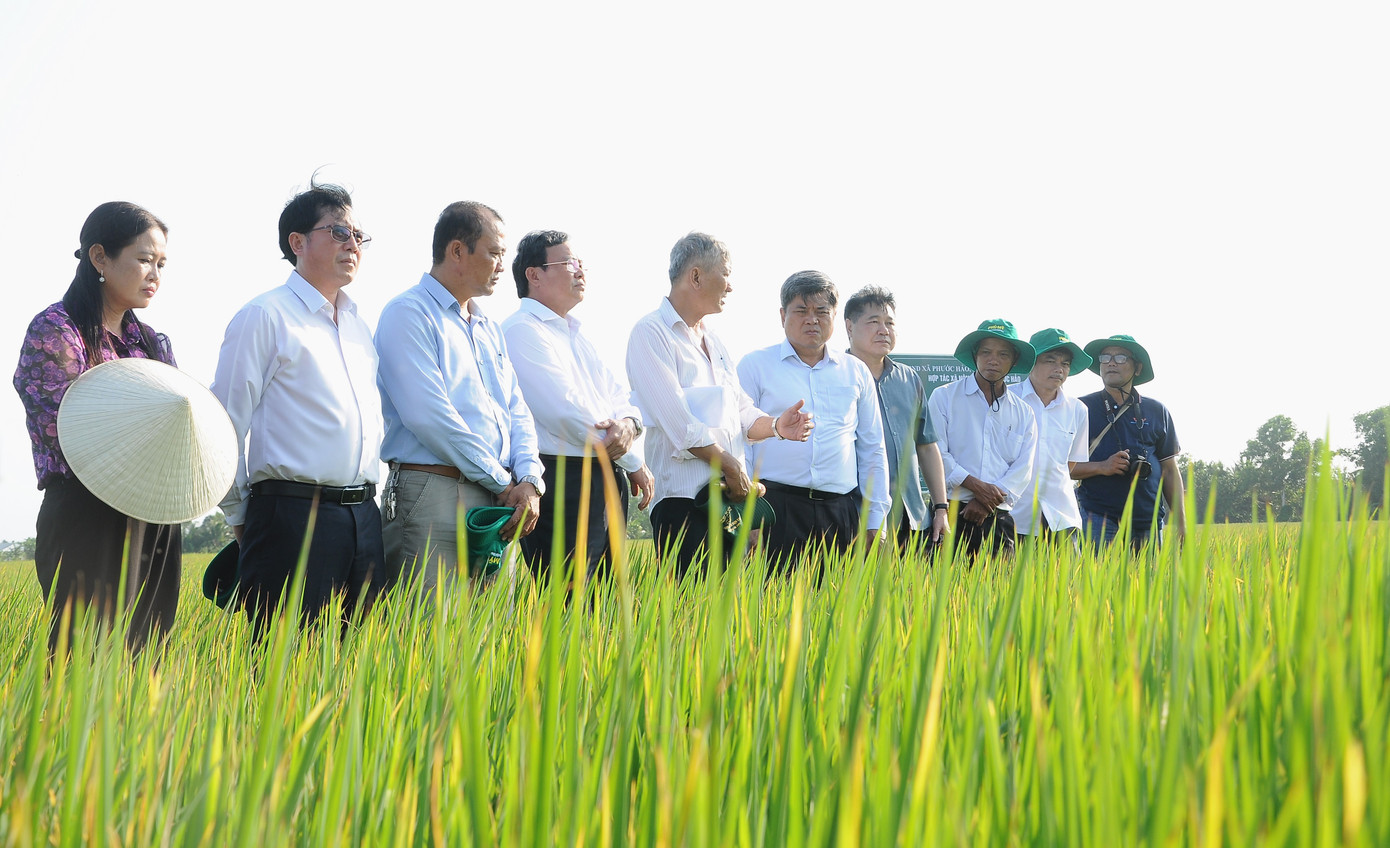 Lãnh đạo Bộ NN&PTNT và tỉnh Trà Vinh khảo sát mô hình sản xuất lúa hữu cơ, chất lượng cao giảm phát thải ở huyện Châu Thành, tỉnh Trà Vinh. Lãnh đạo Bộ NN&PTNT và tỉnh Trà Vinh khảo sát mô hình sản xuất lúa hữu cơ, chất lượng cao giảm phát thải ở huyện Châu Thành, tỉnh Trà Vinh.